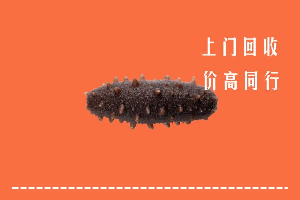 福安市回收海参