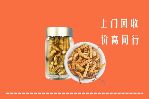 福安市回收冬虫夏草